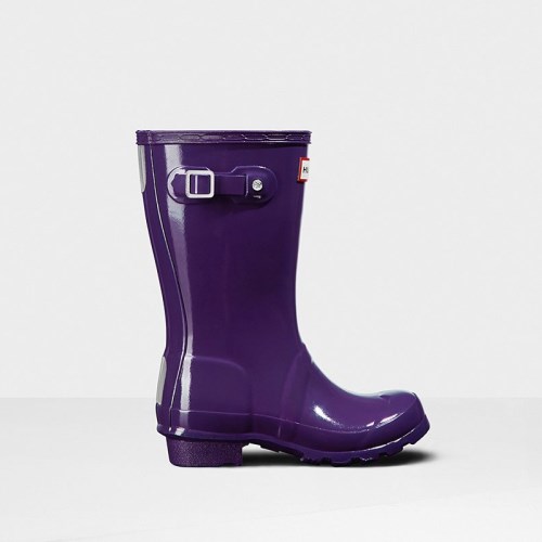 Hunter Original Gloss Wellies (D156S) Ireland